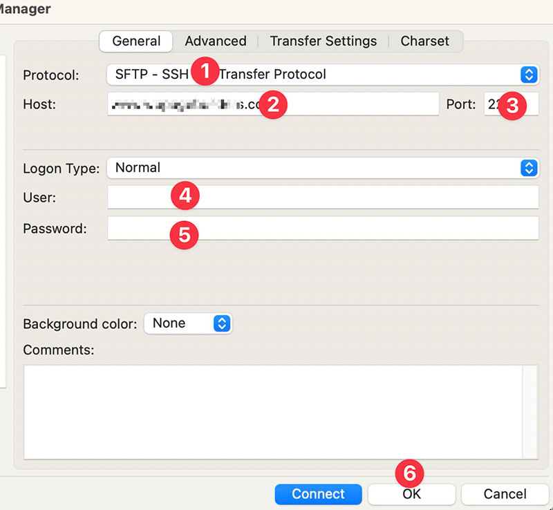 FTP account details on FileZilla