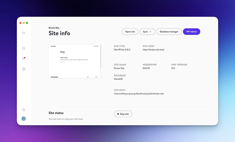 DevKinsta control panel