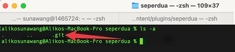 Empty Git folder