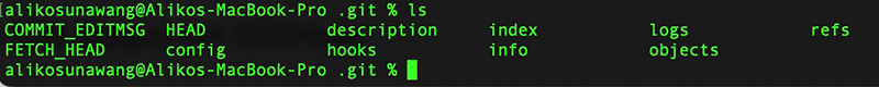 Files of the Git app