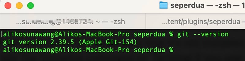 Checking the installed Git version.