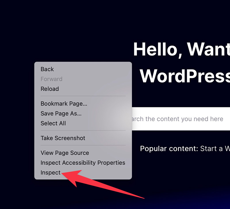 Inspecting elements of a web page