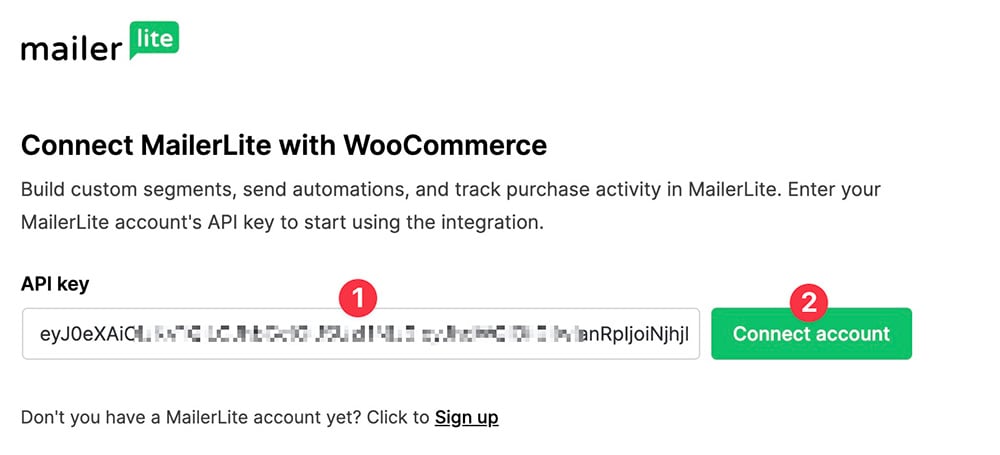 Pasting MailerLite API key on WordPress dashboard.