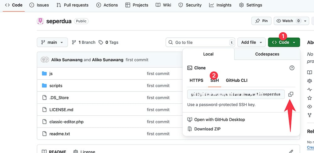 SSH remote access