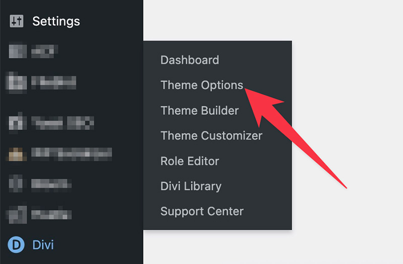 Theme options menu in Divi