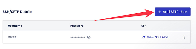 Adding a new FTP user in Cloudways