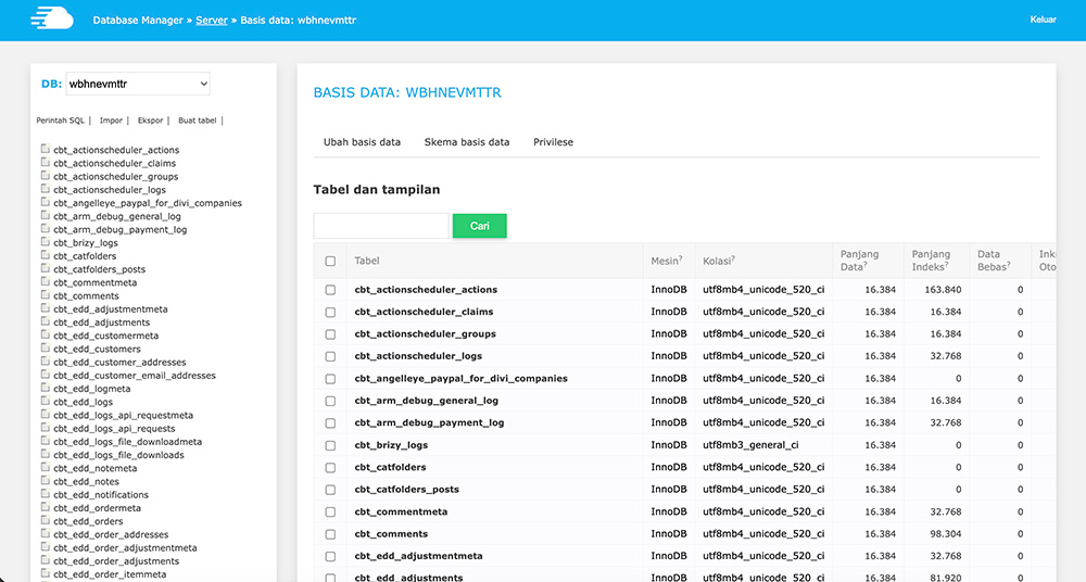 Cloudway database manager feature