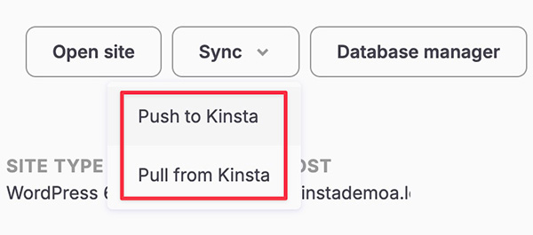 Syncronization feature in DevKinsta