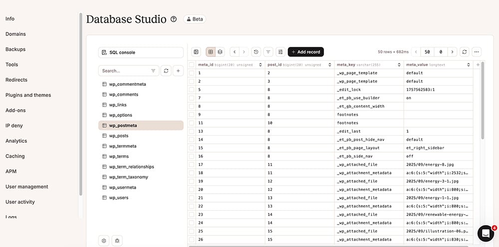 Kinsta database manager feature