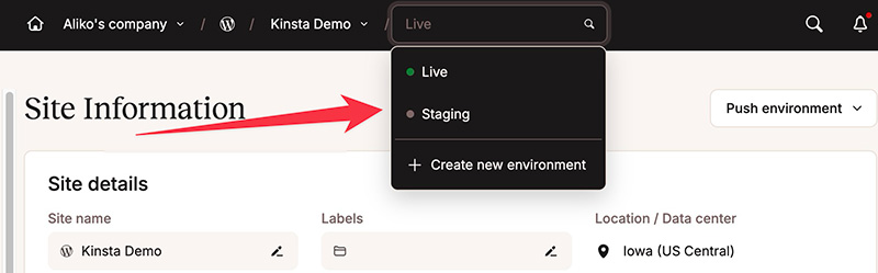 Menu to access staging environment feature in Kinsta