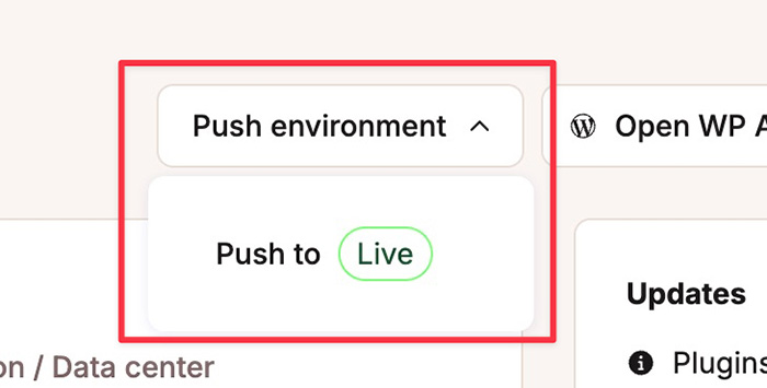 Staging environment in Kinsta