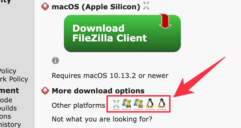Picking FileZilla installer
