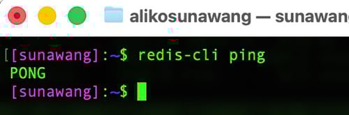 Redis running in Cloudways
