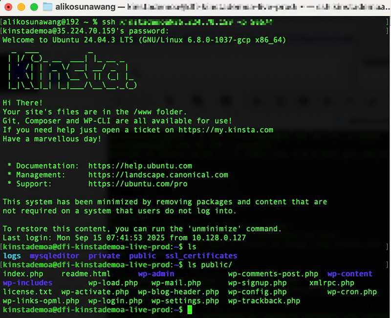 SSH access in Kinsta