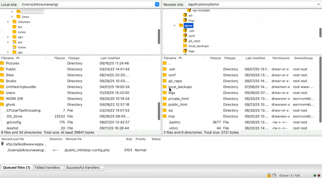 Download files from the server in FileZilla