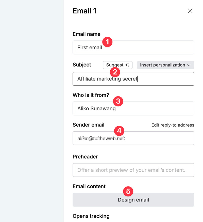 Email settings in MailerLite